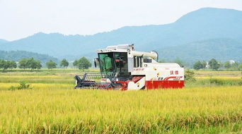 農(nóng)機(jī)銷售季 為國產(chǎn)品牌打call，助力農(nóng)業(yè)現(xiàn)代化新征程